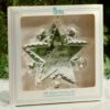 1981 Mayor's Christmas Tree Star -Cheap Hallmark Store Mayor81 2